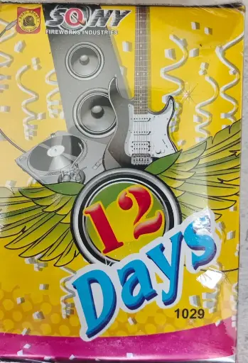 [1029] 12 Days