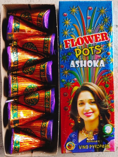[19] Flower Pots Asoka